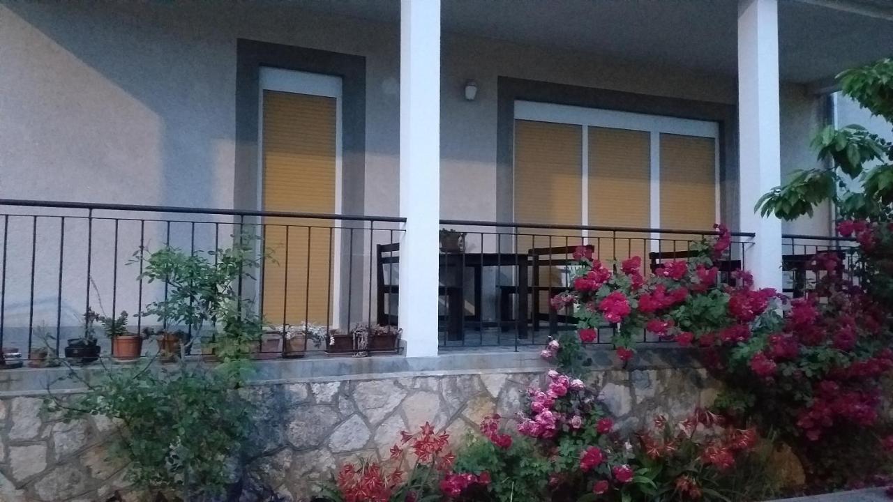 Apartman Plavo More ザダル エクステリア 写真