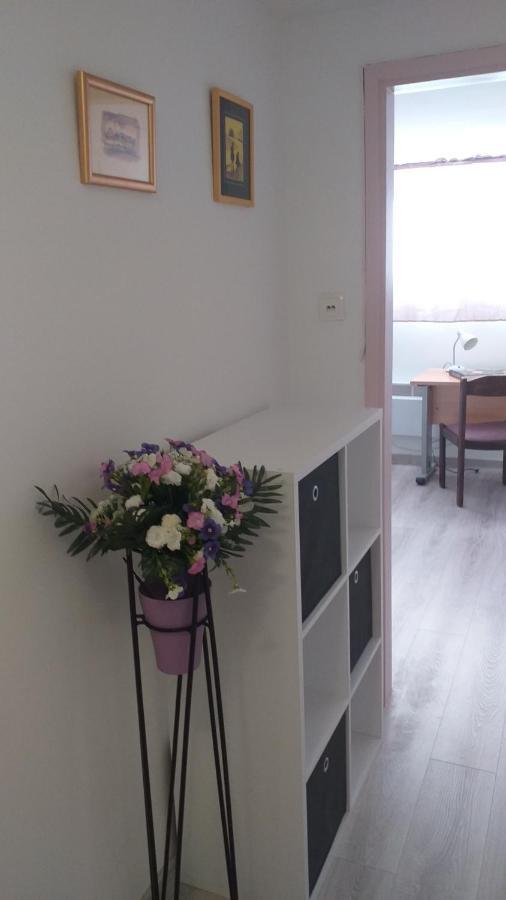 Apartman Plavo More ザダル エクステリア 写真